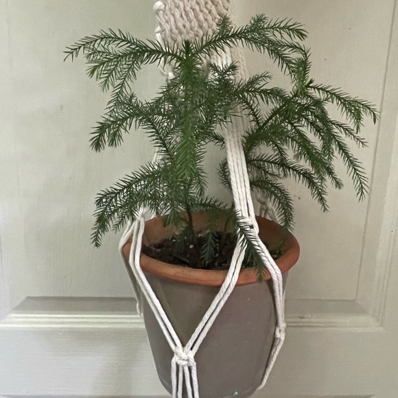 Macrame spiral twist plant hanger, 40” long - Picture 5 of 6